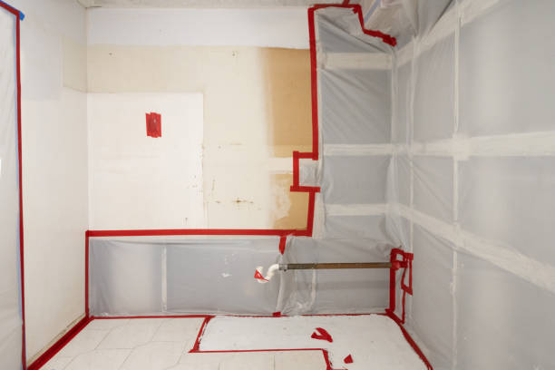 Best Mold Prevention Services  in USA